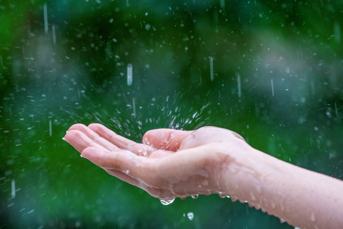 close up wet female hands rain